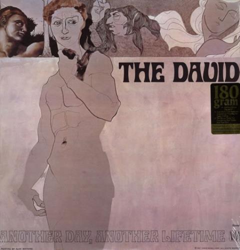 The David Another Day, Another Lifetime vinyl LP album (LP record) US DV9LPAN357845