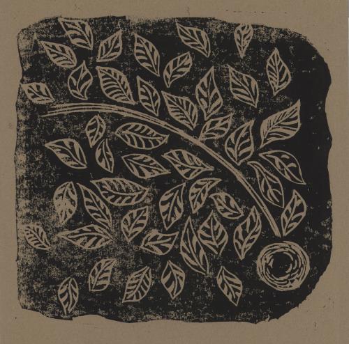 The Declining Winter The Leaves In The Lane / Stone's Throw vinyl LP album (LP record) UK 1JZLPTH755029