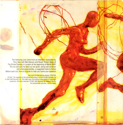 The Divine Comedy Response CD album (CDLP) UK DCMCDRE186704