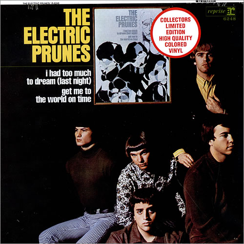 The Electric Prunes The Electric Prunes vinyl LP album (LP record) US EPRLPTH459951