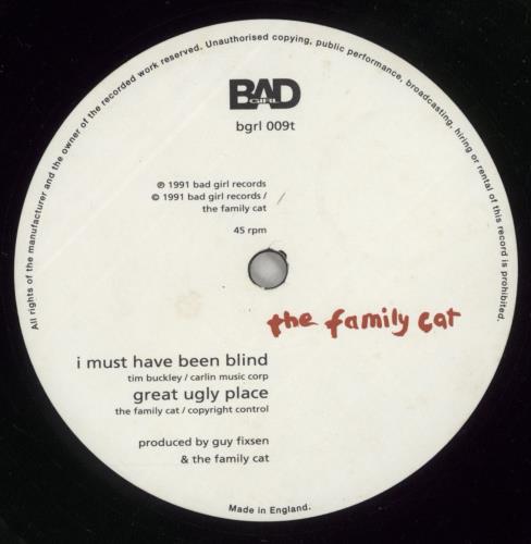 The Family Cat Colour Me Grey 12" vinyl single (12 inch record / Maxi-single) UK FMC12CO575613