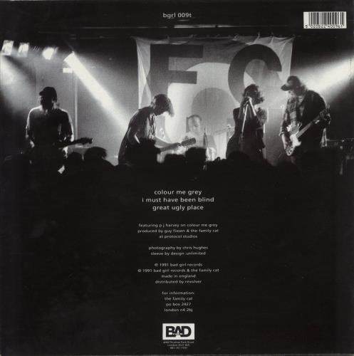 The Family Cat Colour Me Grey 12" vinyl single (12 inch record / Maxi-single) UK FMC12CO575613