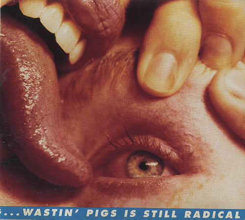 The Flaming Lips Wastin' Pigs CD single (CD5 / 5") US F-LC5WA267216