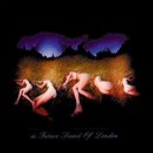 The Future Sound Of London Amorphous Androgynous: The Isness - Burgopak CD album (CDLP) UK FSOCDAM220127