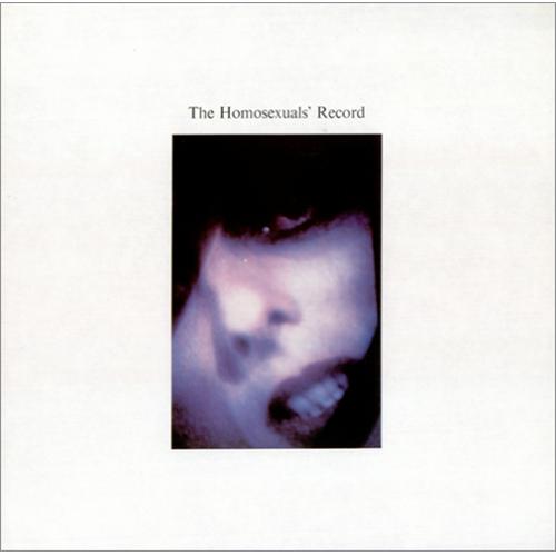 The Homosexuals The Homosexuals Record vinyl LP album (LP record) UK HMXLPTH415815