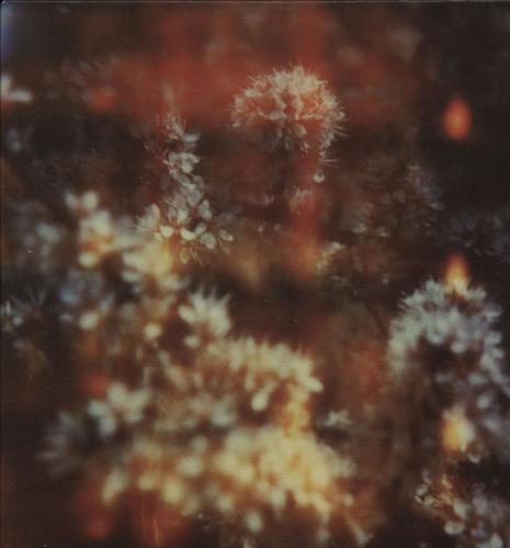 The Horrors Changing The Rain CD-R acetate UK HO5CRCH762948