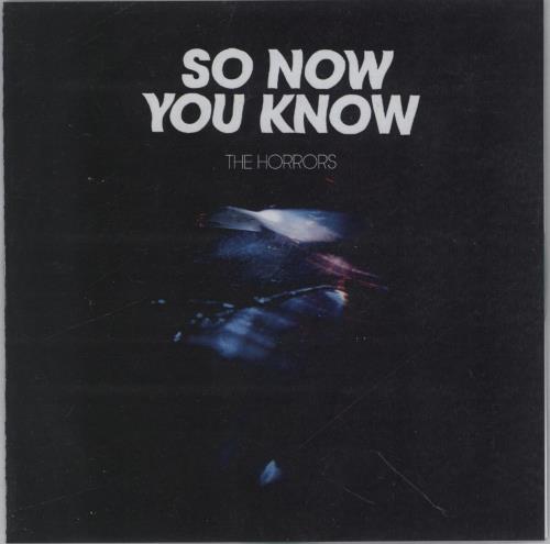 The Horrors So Now You Know CD-R acetate UK HO5CRSO609642