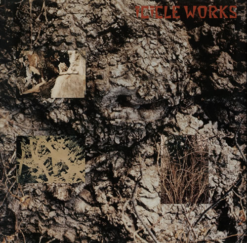The Icicle Works The Icicle Works vinyl LP album (LP record) German ICILPTH575550