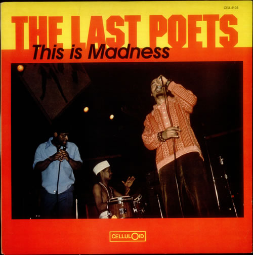 The Last Poets This Is Madness vinyl LP album (LP record) US L-PLPTH541871