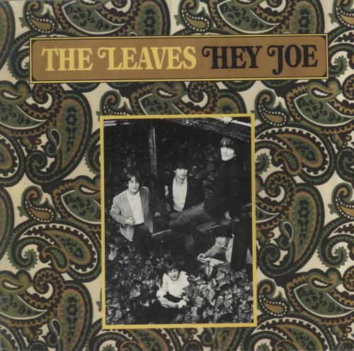 The Leaves Hey Joe vinyl LP album (LP record) German LVSLPHE886581