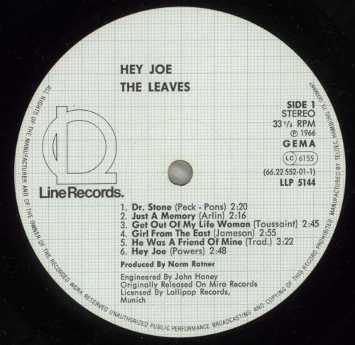 The Leaves Hey Joe vinyl LP album (LP record) German LVSLPHE886581