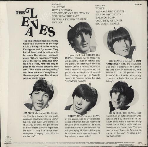 The Leaves Hey Joe vinyl LP album (LP record) German LVSLPHE886581