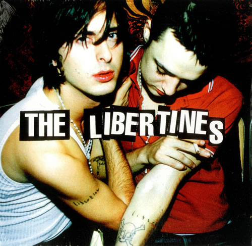 The Libertines The Libertines vinyl LP album (LP record) US TLBLPTH446896