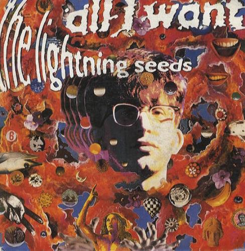 The Lightning Seeds All I Want 7" vinyl single (7 inch record / 45) French SEE07AL97422