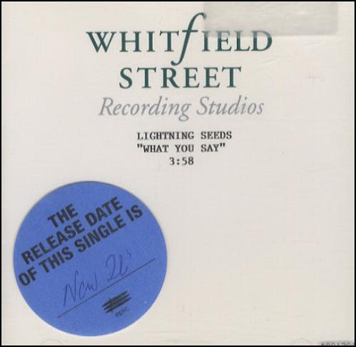The Lightning Seeds What You Say - Duplicate CD-R acetate UK SEECRWH106692