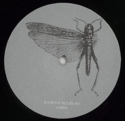 The Locust The Peel Sessions 12" vinyl single (12 inch record / Maxi-single) US W0912TH866172