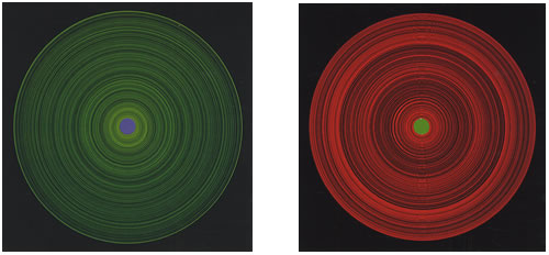 The Music Collection Of DVD Single + CD Singles DVD Single UK USCDSCO413047