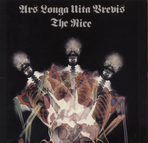 The Nice Ars Longa Vita Brevis vinyl LP album (LP record) German NCELPAR873420