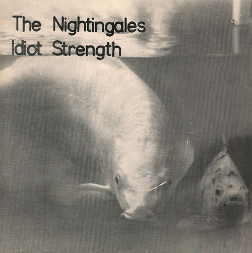 The Nightingales Idiot Strength 7" vinyl single (7 inch record / 45) UK UXZ07ID518996