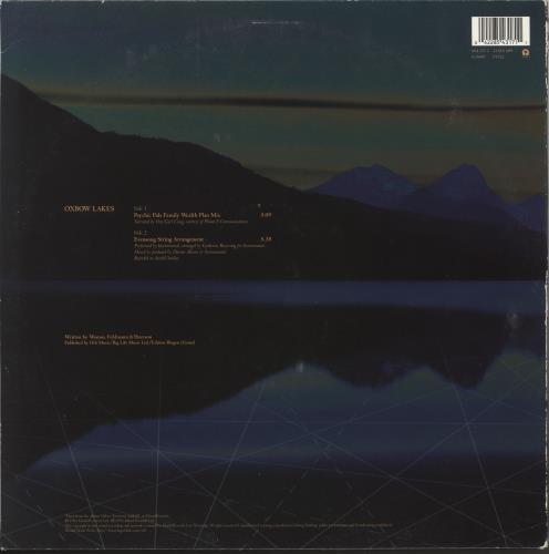 The Orb Oxbow Lakes 12" vinyl single (12 inch record / Maxi-single) UK ORB12OX177683