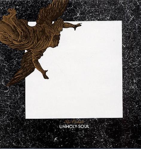 The Orchids Unholy Soul vinyl LP album (LP record) UK ORHLPUN288621