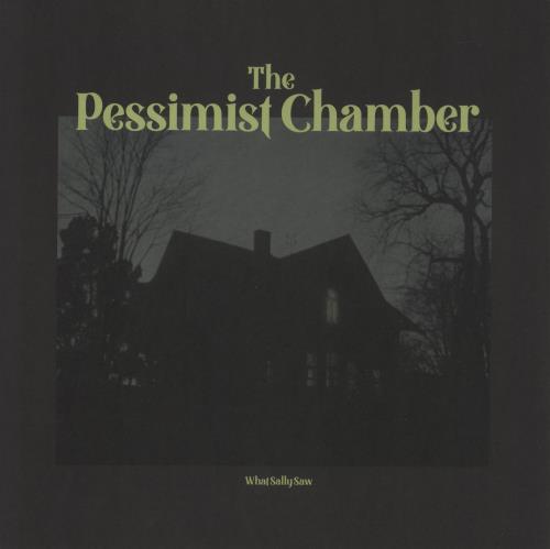 The Pessimist Chamber What Sally Saw vinyl LP album (LP record) Dutch 9N7LPWH869208
