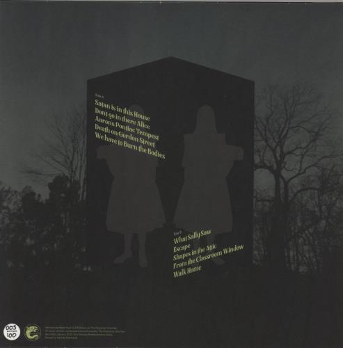 The Pessimist Chamber What Sally Saw vinyl LP album (LP record) Dutch 9N7LPWH869208