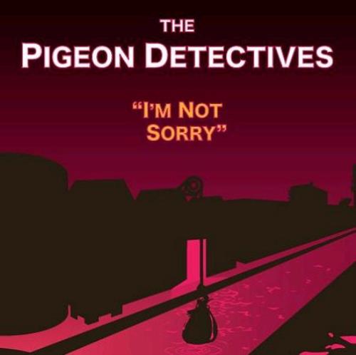 The Pigeon Detectives I'm Not Sorry 7" vinyl single (7 inch record / 45) UK TQ107IM354647