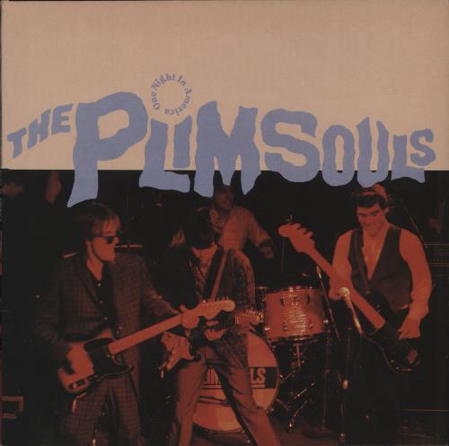The Plimsouls One Night In America vinyl LP album (LP record) French WN9LPON679183
