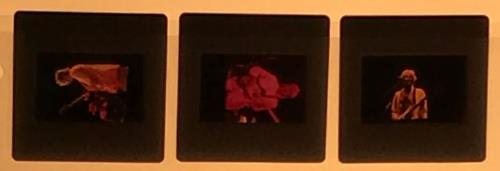 The Police The Coliseum, Richfield, 30th July 1983 memorabilia UK POLMMTH674205