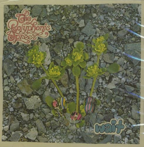 The Polyphonic Spree Wait CD single (CD5 / 5") US PYSC5WA378045
