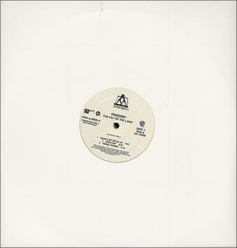 The Prodigy Fat Of The Land 2-LP vinyl record set (Double LP Album) US PDG2LFA92191