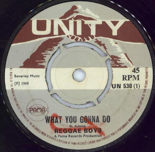 The Reggae Boys What You Gonna' Do 7" vinyl single (7 inch record / 45) UK VLP07WH792691
