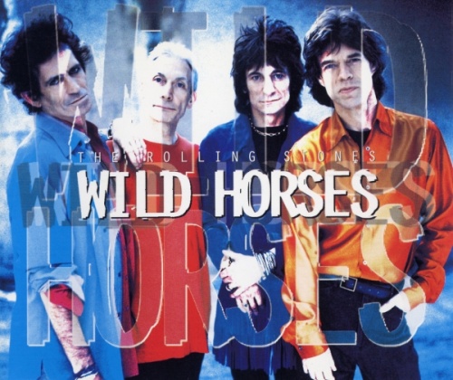 The Rolling Stones Wild Horses CD single (CD5 / 5") Dutch ROLC5WI62213