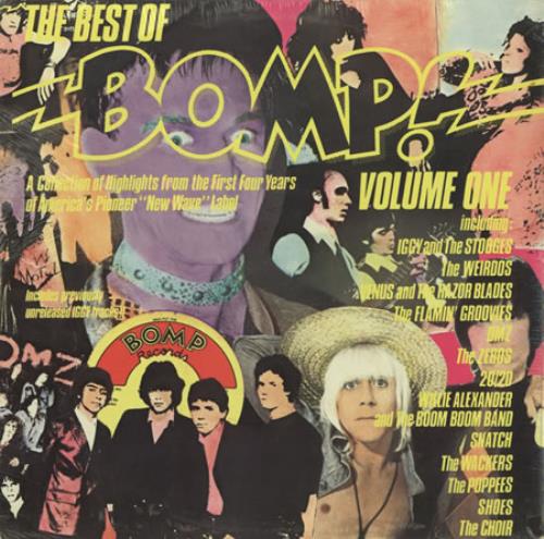 The Stooges I Got A Right/Gimme Some Skin vinyl LP album (LP record) US TSGLPIG389230