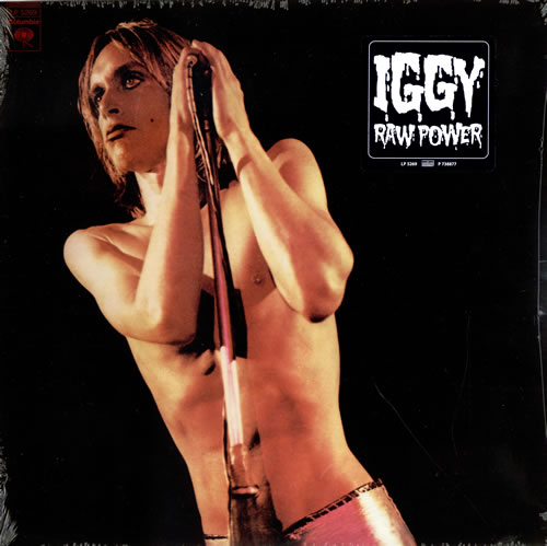 The Stooges Raw Power vinyl LP album (LP record) US TSGLPRA460355