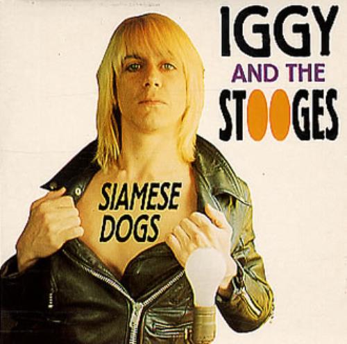 The Stooges Siamese Dog CD single (CD5 / 5") French TSGC5SI82457