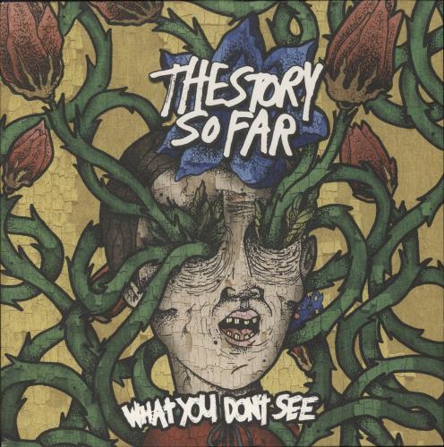 The Story So Far What You Don't See vinyl LP album (LP record) UK V33LPWH886119