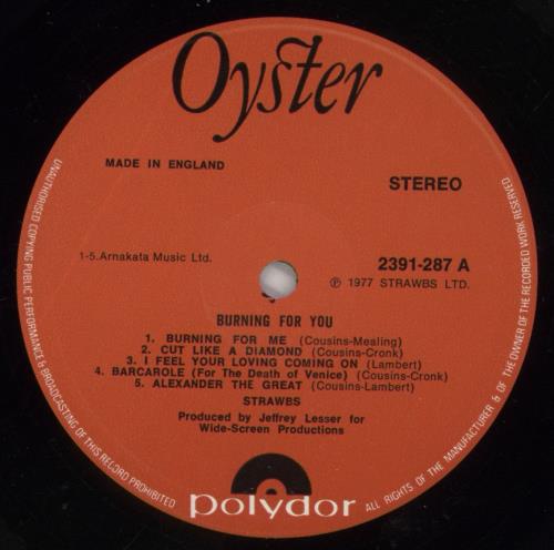 The Strawbs Burning For You vinyl LP album (LP record) UK SRBLPBU461741