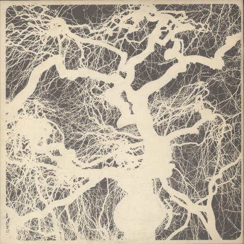 The Strawbs From The Witchwood - 1st - EX vinyl LP album (LP record) UK SRBLPFR683705