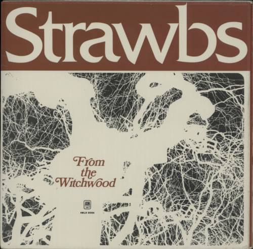 The Strawbs From The Witchwood vinyl LP album (LP record) South African SRBLPFR594934