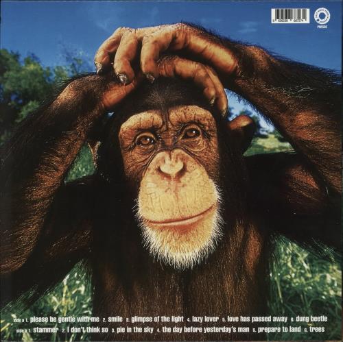 The Supernaturals It Doesn't Matter Anymore - Blue Vinyl vinyl LP album (LP record) UK RNALPIT870244