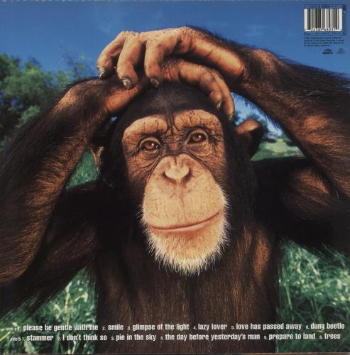 The Supernaturals It Doesn't Matter Anymore vinyl LP album (LP record) UK RNALPIT483264