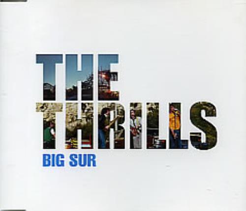The Thrills Big Sur CD-R acetate Japanese RILCRBI280369