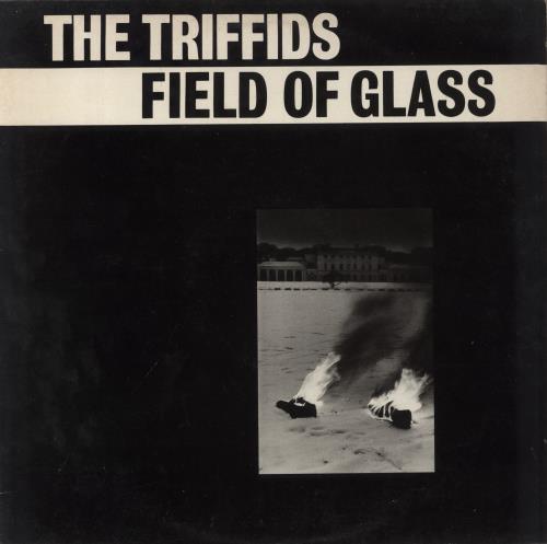 The Triffids (80s) Field Of Glass 12" vinyl single (12 inch record / Maxi-single) UK TFI12FI109800