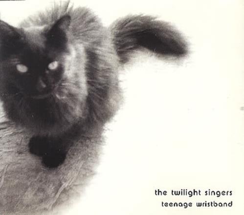 The Twilight Singers Teenage Wristband CD single (CD5 / 5") UK TWHC5TE261028