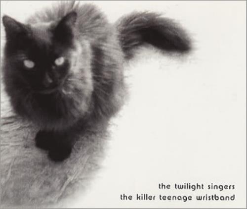 The Twilight Singers The Killer Teenage Wristband CD single (CD5 / 5") UK TWHC5TH355668