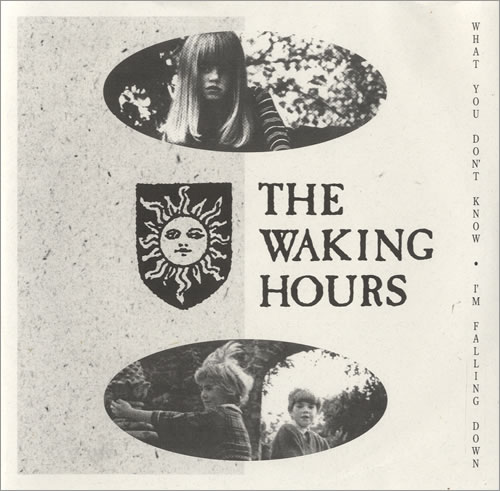 The Waking Hours What You Don't Know 7" vinyl single (7 inch record / 45) US UKP07WH509504