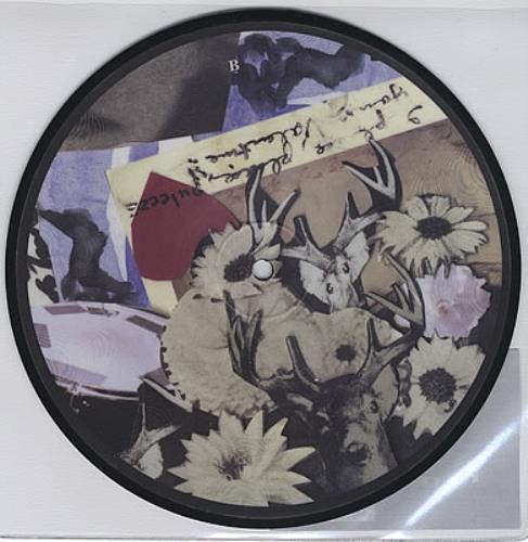 The Walkmen Louisiana 7" vinyl picture disc (7 inch picture disc single) UK WAE7PLO372159
