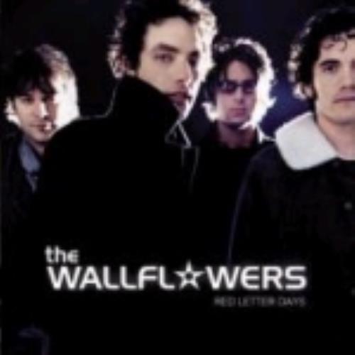 The Wallflowers Red Letter Days CD album (CDLP) Japanese WFLCDRE221122